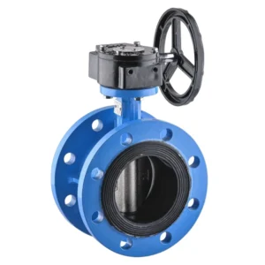 D341X 16 Soft-sealing 304 Plate Manual Butterfly Valve DN50 65 80 100 150 Turbine Flange Type Butterfly Valve