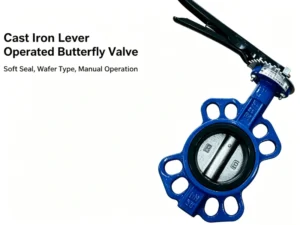 D71X-16Q Lever Operated Wafer Butterfly Valve Manual Ductile Iron Resilient Seated Soft Seal Butterfly Valve PN16 for Water