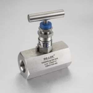 DBNV Series Bar Stock Body Needle Valve Stainless Steel Valve Ball Check Valve Instrument Valve