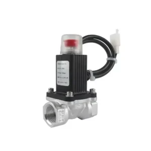 DC Emergency Relay Valve Shut Off LPG Safety 12V Gas Solenoid Valve