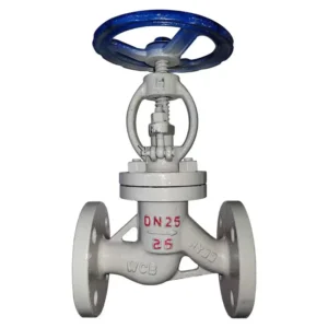 DIN 10DN65 Class125 Manual High Temperature Stop Stainless Steel Teflon lining SW J41H Globe Valve OEM JITAI