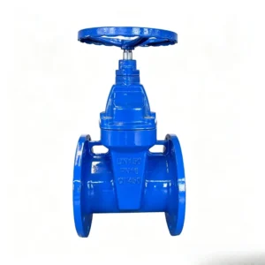 DIN/AS Medium and Low Pressure Soft Seal Flange Gate Valve