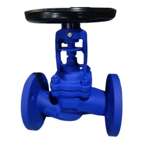 DIN Bellows Globe Valve WJ41H 16C High Temperature up to 425℃ for Steam and Heat Conducting Oil Valve with DN50