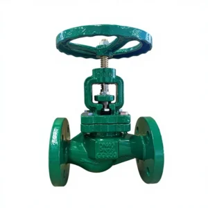 DIN J41T Bellows Globe Valve with Brass Seat and 304 Seat Ductile Iron Globe Valve 2 inch