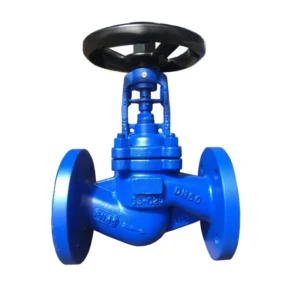 DIN PN16 Industrial Globe Valve With Double Flange Cast Iron Carbon Steel PN25 Bellows Globe Valve