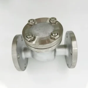 DIN PN16 PN25 Flanged Swing Check Valve Ductile Iron GG40 EPDM Sealing for Irrigation System