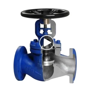 DIN Standard Bellows Seal PTFE Lined DN150 PN40 Cast Iron Globe Valve for Steam