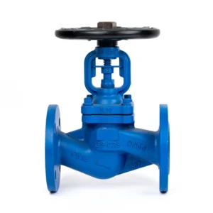 DIN Standard GS C25 Flanged Globe Valve PN16