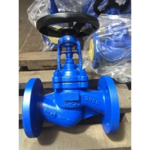 DIN WJ41H 16 Manual Double Stainless Seal WCB Globe Valve for Petrochemical Zero Leakage Bellows Design OEM Customized Support