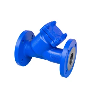 DIN cast steel WCB flanged end Y Strainer