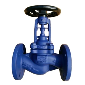 DIN3356 PN16 DN150 SS Seat Cast Iron GGG50 Straight Bellows Seal Globe Valve with Handwheel