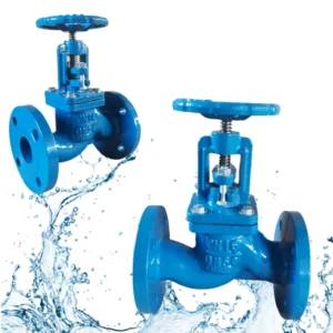 DIN3356 PN16 Ductile Iron Cast Iron Manual Flange Connection Steam Bellow Seal Water Safety Globe Valve