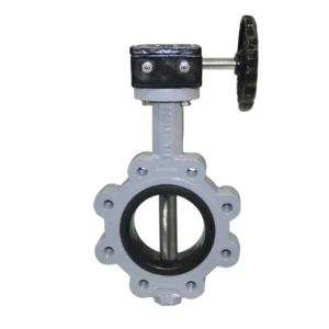 DN100 Cast Iron Lug Type Butterfly Valve