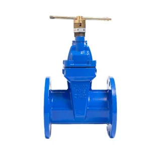 DN100 Flange Gate Valve Ductile Iron Lockable Gate Valve