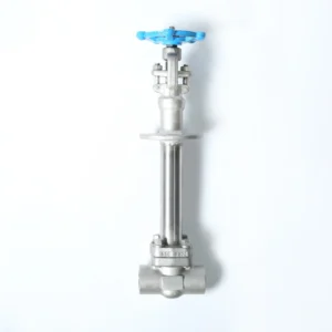 DN100 Long Stem Globe Valve Cryogenic Stainless Steel Electric Power High Temperature Water Stop Welding Connection Gate
