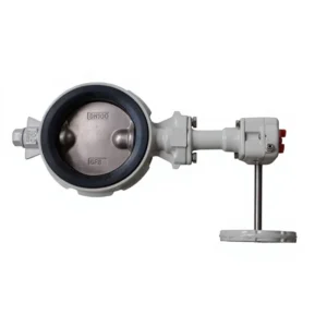 DN100 Manual Extended Stem Butterfly Valve