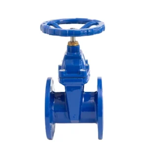 DN100 PN16 Gate Valve Cast Iron Non rising Stem Flange Soft Seal Gate Valve