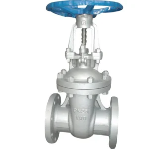 DN100 PN25 Gate Valve