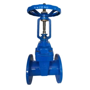 DN100 Water Hydraulic Ductile Iron Flange Soft Seal Gate Valve with 5 Year Warranty Custom Size Available
