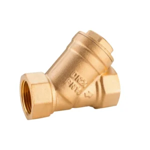DN15 Brass Y Type Strainer check Valve with Ss Net