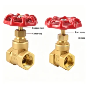 DN15 DN20 DN25 DN32 DN50 PN16 Corrosion Resistant Manual Water Gas Medium Temperature Gate Valve