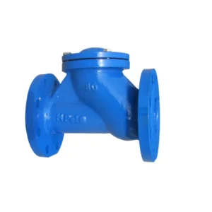 DN15 DN300 Ductile Iron Y Strainer Manufacturer