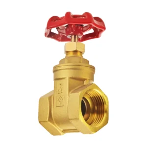 DN15-DN50 PN16 Manual Brass Gate Valve for Water