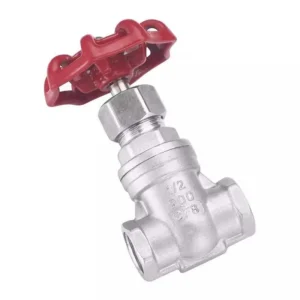 DN15 Female Gate Valve Threaded Water Pipe Pressure Switching Valve Stainless Steel Gate Valve