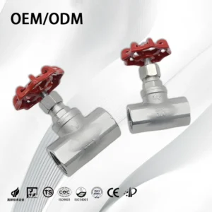 DN15 Manual Handle Industrial 316 Stainless Steel Female Thread Shutoff Valves for Water