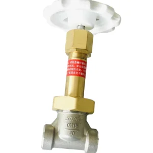 DN15 Shutoff Valves Cryogenic Globe Valve for Bulk Tank Storage
