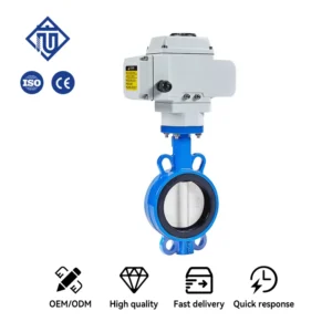 DN150 1.6Mpa 220V Electric Actuated Wafer Butterfly Valve with EPDM Seal for Water Applications