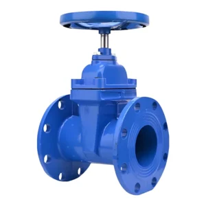 DN150 Cast Iron Flanged Soft Seal Gate Valve PN16 Special for Fire Protection & Drinking Water
