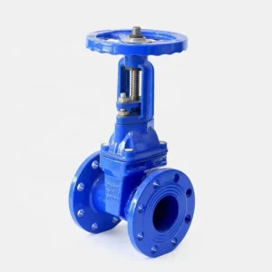 DN150 Din3352 F5 Rising Stem Manual Hard Seal Gate Valve 0~1.0 MPa Pressure for Water Supply