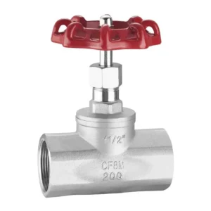 DN20 American Type Shutoff Valves Manual Control Stainless Steel SS 316 Water Gas Pipe Fitting Globe Valve