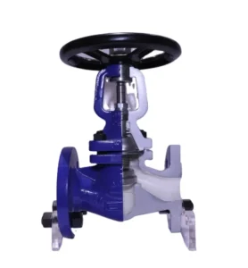 DN25 Cast Iron Globe Valve WJ41H Manual Steam Control Water Shutoff High Temperature OEM Customizable