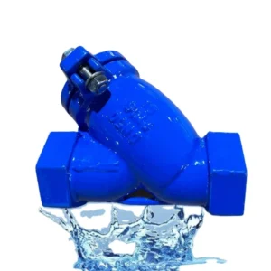DN25 DN100 Ductile Iron Manual Stop Y Strainer with NPT BSPT Thread Filtration Structure Water Application