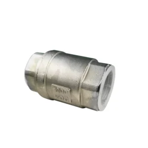 DN25 Pn16 SS304 316 Thread Type Single Spring Plate Lift Check Valve