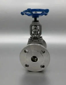 DN25 Port Manual Flanged Globe Valve Shutoff 316 Stainless Steel OEM ODM Available for Water Treatment Normal Temp 1