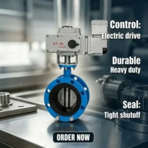 DN250 Double Flange Concentric Butterfly Valve with Worm Gear De250 PN16 Ductile Cast Iron