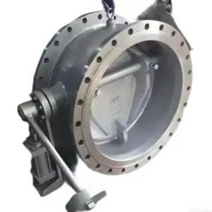 DN300 Wear Resistance Disc Grooved Butterfly Check Valve PN16-PN100 Flange/Welded Connection Metal Sealing Surface CE