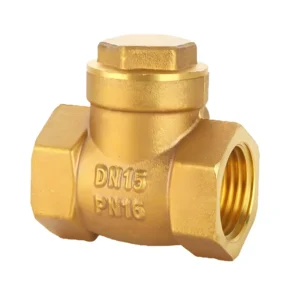 DN32 Brass Horizontal Female Thread Check Valve OEM Custom for Water Supply System