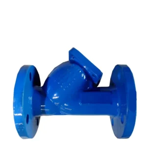 DN32~DN600 Ductile Iron Flanged Y Strainer