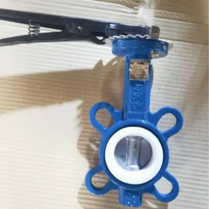 DN40 2″ PTFE Seat Ss316 Disc Wafer End Connection Pipe Fittings PN10 16 CE Certificate Ductile Iron Wafer Type Butterfly Valve