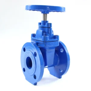 DN40 DN1200 BS 5163 Gate Valve DIN 3202 F4 Resilient Seat Gate Valve
