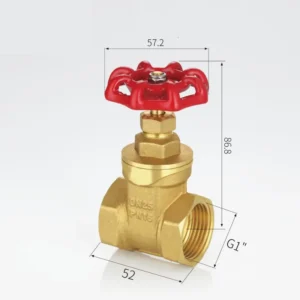 DN40 Pn16 Mini Gate Valve with Manual Structure Threaded Brass Check Valve for Water Pipeline and Irrigation Use