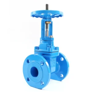 DN50 2″ DI Wedge Gate Valve for Base Media