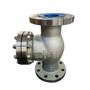 DN50 2 Inch 304 Stainless Steel Manual Swing Check Valve with Water Switch Control Hard Seal Design 3 Year Warranty Shandong