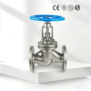 DN50 2″ PN16 CF8 Manual Control Globe Valve Stainless Steel Flange Connection High Temperature Water