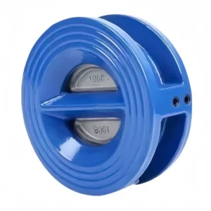 DN50 600 Single Way Spring Double Disc Check Valve With CE Certification BS EN ASME DIN Standard Use DI CI SS304 Material