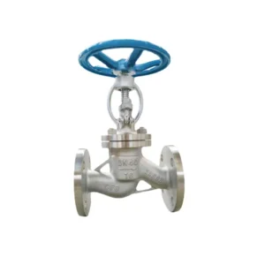 DN50 CF8 Stainless Steel Globe Valve Model J41W 16P PN16 ANSI Standard Flange End Industrial Manual Control Valve